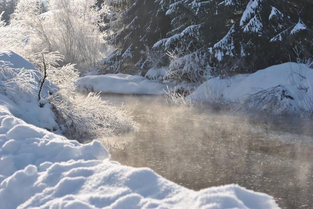 Gîte du Fourpéret-Parc Naturel du Haut-Jura Longevilles-Mont-dʼOr Extérieur photo