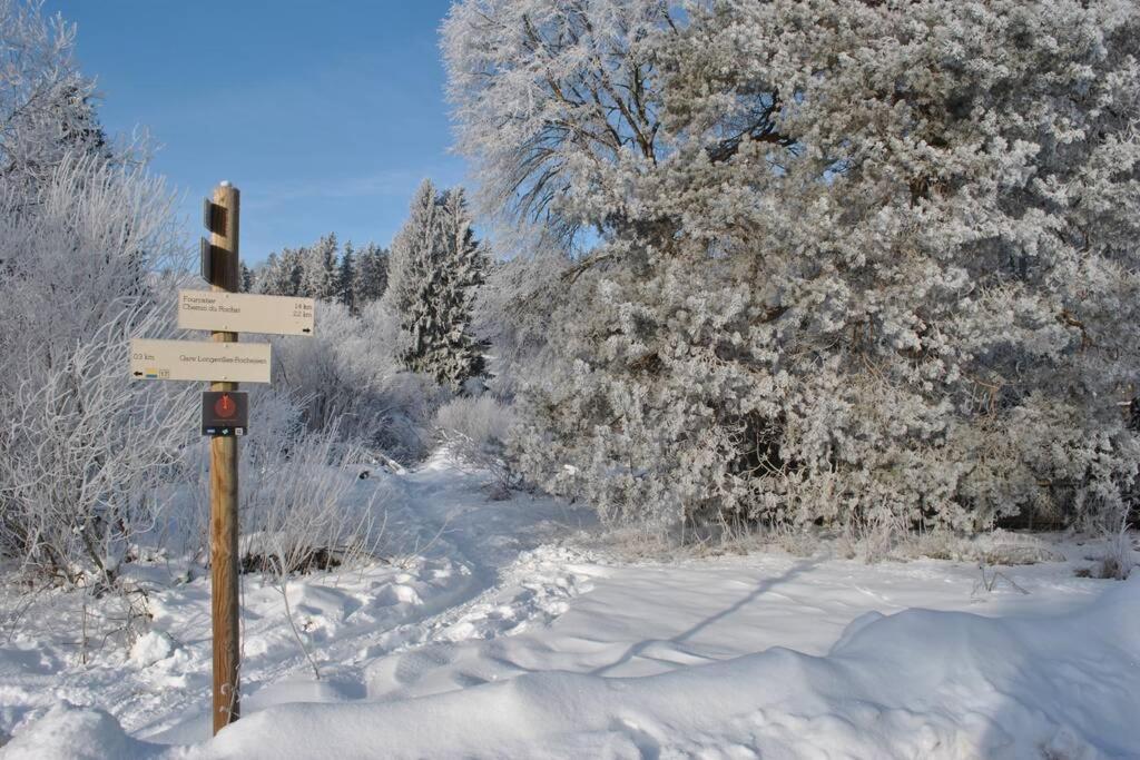Gîte du Fourpéret-Parc Naturel du Haut-Jura Longevilles-Mont-dʼOr Extérieur photo