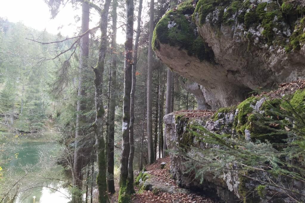 Gîte du Fourpéret-Parc Naturel du Haut-Jura Longevilles-Mont-dʼOr Extérieur photo